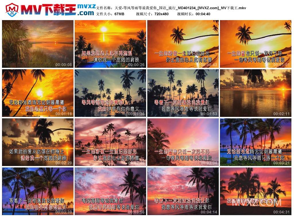 天爱-等风等雨等说我爱你_国语_流行_MD401234